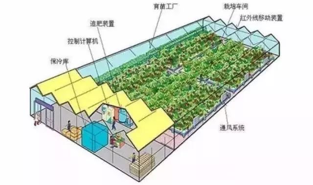 智能溫室 計算機系統服務引領現代農業發展新方向